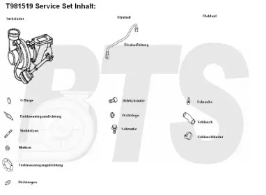 Компрессор, наддув BTS Turbo T981519